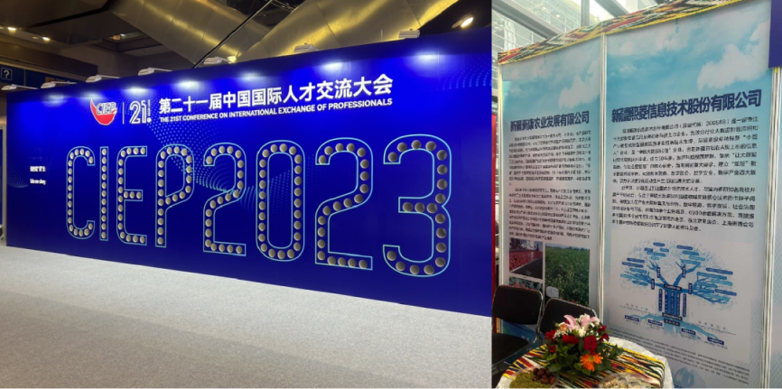 Stake(�й���)�ٷ���վ