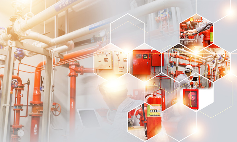 Stake(�й���)�ٷ���վ